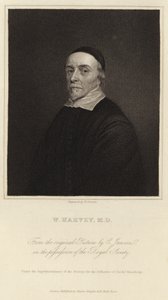 William Harvey af Cornelius Janssen van Ceulen