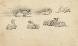 Studie af får af Cornelius Varley