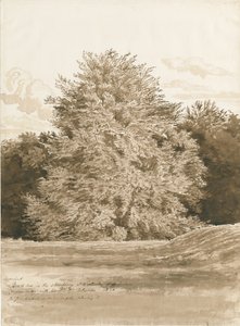 Wrottesley Hall - The Shrubbery: sepia drawing, 1820dani af Cornelius Varley