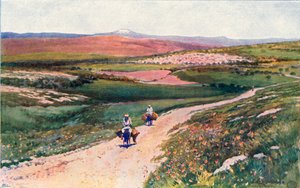 Cana fra vejen til Nazareth