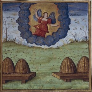 Illustration for georgikerne af Virgil, 1450-1499