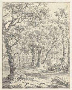 skovlandskab af Couwenhoven