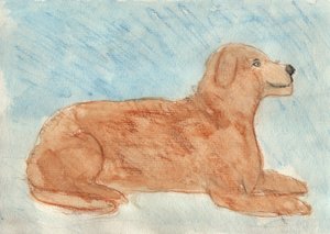 Drømmer om en hund