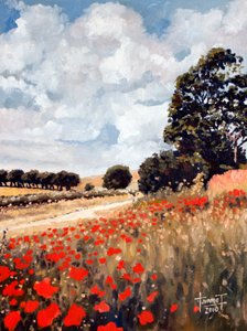Wild Poppies, Hertfordshire, 2010 (olie på papir)