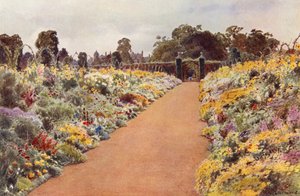 The Double Borders in the East Garden, Sandringham (farve litho) af Cyril Ward