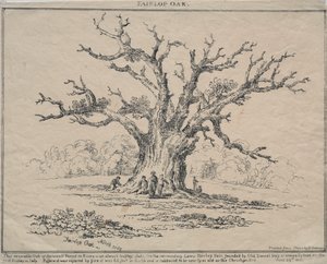 Fairlop Oak, 1811. af D. H. Redman