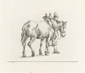 Mand går ved siden af ​​en hest af D. Merrem