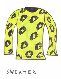 Sweater (tusch på papir) af Daisy de Villeneuve