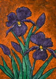Levende lilla iris af Dale Hefer & Family