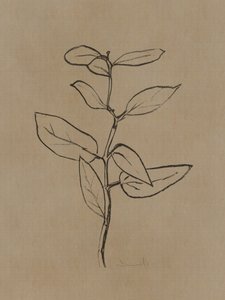Eukalyptus-træ af Dan Hobday