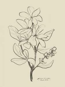 Blomster 1