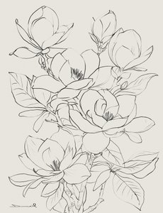 Magnoliatræ af Dan Hobday