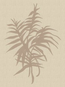 Plante-neutralt af Dan Hobday