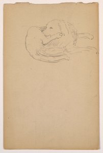 Tegning, Dash (en setter), ca. 1862 af Daniel Huntington