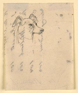 Tegning, hundehoved, sandsynligvis Milo (en pointer), ca. 1862 af Daniel Huntington
