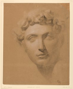 Tegning, mandligt hoved fra en gips, 1840 af Daniel Huntington