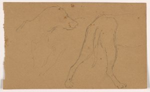 Tegning, Milo (en pointer), hoved og krop, ca. 1862 af Daniel Huntington