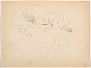 Tegning, Milo (en pointer), to studier, ca. 1862 af Daniel Huntington