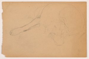 Tegning, Miol (en pointer), ca. 1862 af Daniel Huntington