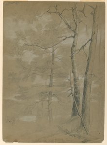 Undersøgelse af Hemlock and Beech, White Lake af Daniel Huntington