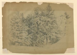 Studie af træer, North Conway, New Hampshire af Daniel Huntington