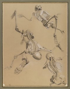 Studie af skeletter, 1848 (kridt på papir)