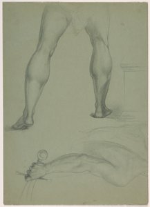 To partielle anatomiske studier af Daniel Huntington