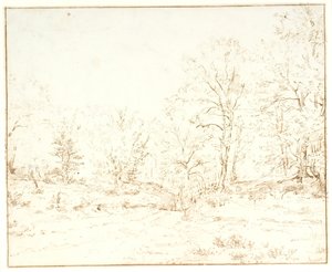 En skovvej af Dankvart Dreyer