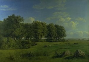 Øen Brandsø med Wedellsborg Skov, Fyn, i det fjerne