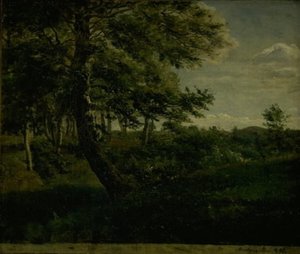 Ørsbjerg Forest at Aarup, Funen af Dankvart Dreyer