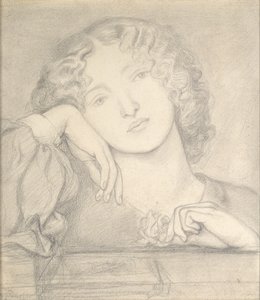 Man Rose, c1860