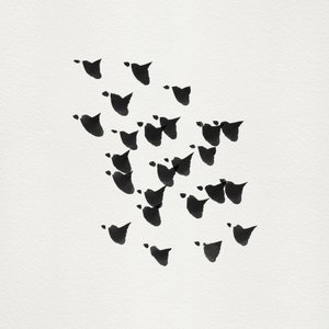 Minimalistisk fugleflugt af Danushka Abeygoda