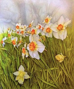 Dancing Daffodils, 2020 (blyant på papir)