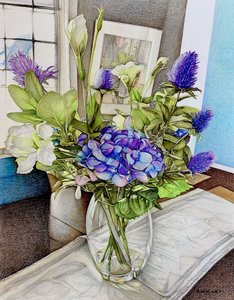 Summer Hydrangea, 2023 (blyant på papir)