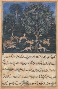 Side fra Tales of a Parrot Tuti-nama: Femte nat: Papegøjemoderen advarer..., ca. 1560. af Daswanth
