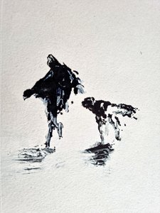 En farveløs tur med hunden
