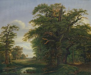 Egetræ, 1847 af David Christopher Mettlerkamp