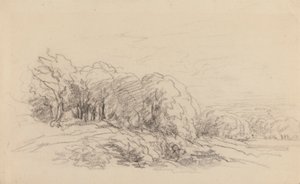 Landskab med træer af David Cox