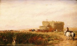 Hømarken af David Cox