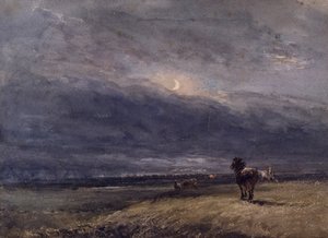 Nattetoget af David Cox