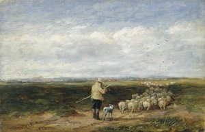 Hyrden, flokkens tilbagevenden af David Cox