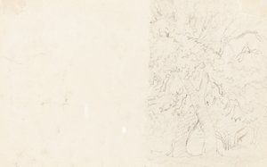 Træer [verso] af David Cox