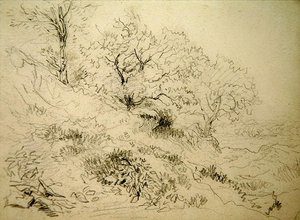 Walisisk landskab (kridt på papir) af David Cox