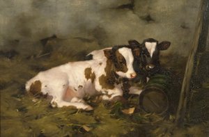 Kalve, ca. 1900 (olie på lærred)