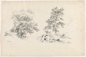 Kastanje og fyrretræ, 1869.