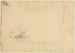 Landskabs- og træstudier verso, ca. 1851. af David Johnson