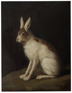 Hare af David Klöcker Ehrenstrahl