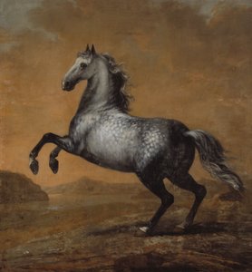 Den lille englænder, kong Karl XI (1655-97)s hest