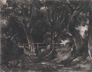 A Dell, Helmingham Park, Suffolk, 1830. af David Lucas