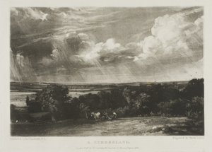 Et sommerland af David Lucas